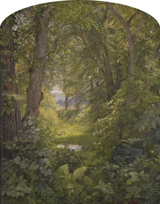 An oil painting of a lush green forest with a variety of plants in the foreground and tall trees in the distance.