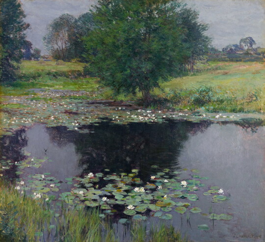 An impressionist-style oil painting of a dark pond with floating water lilies and lush green surroundings.