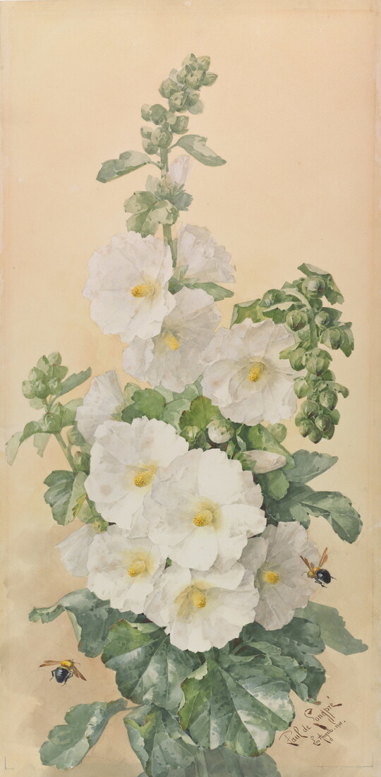 A vertically-oriented watercolor of a tall plant with large white flowers and bees hovering nearby.