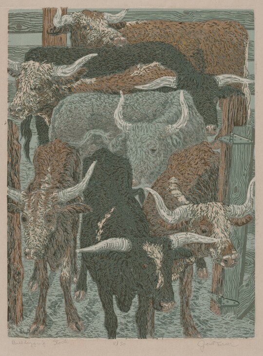 A color print of black, brown-and-white, and gray longhorn bulls in a pen.