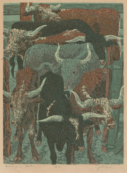 A color print of black, brown-and-white, and gray longhorn bulls in a pen.