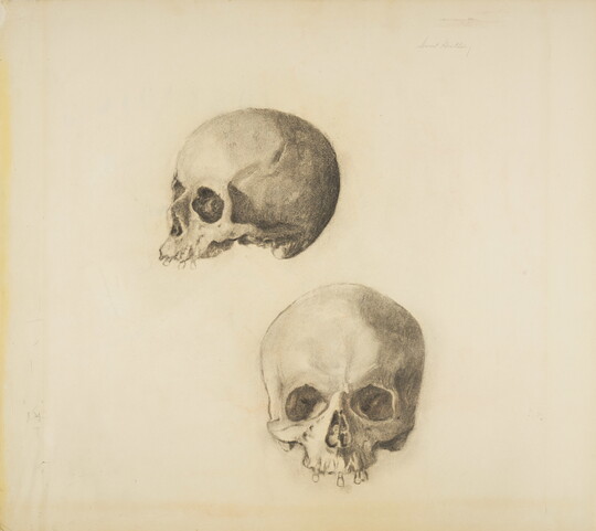 A charcoal drawing of two human skulls: one viewed from the side and the other from the front.