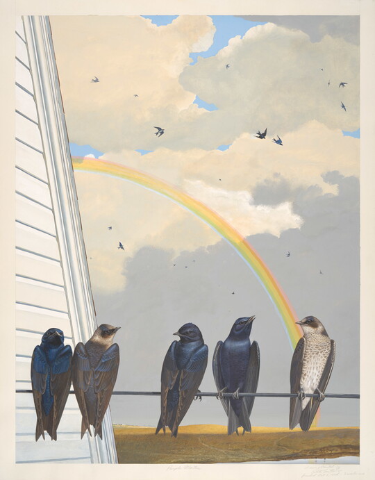 A watercolor of a group of iridescent black birds on a powerline next to a house; a rainbow in the sky in the background.