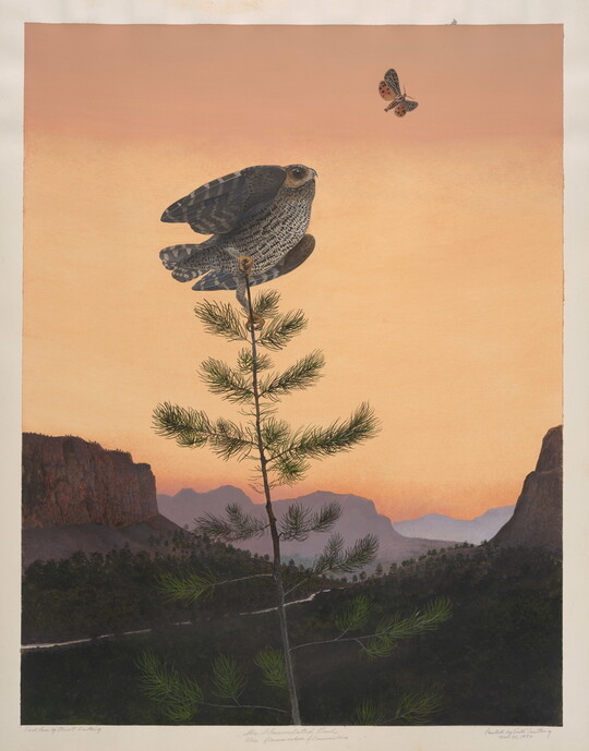 A watercolor of an owl perched atop a tall, thin tree looking at a moth in a mountainous terrain at sunset.