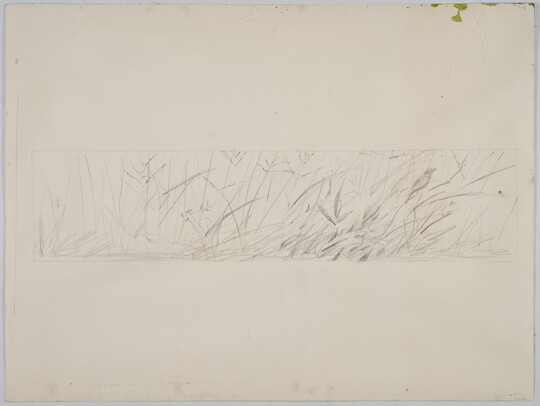 A very faint, black-and-white line drawing of a small bird perched in tall grass.