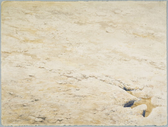 A watercolor painting of a flat, rocky landscape with an animal footprint in the bottom right corner.