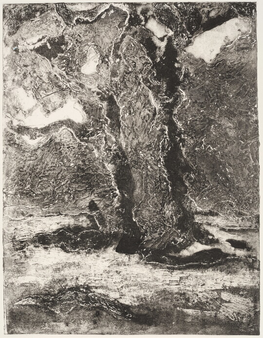 An abstract black-and-white print of organic forms suggestive of two trees.