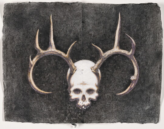 A drawing of a human skull, antlers coming out of the top, mounted on a wall.