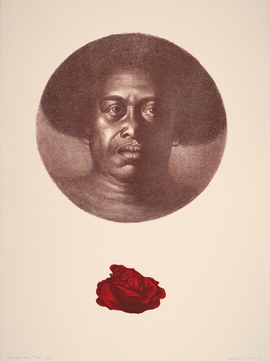 A black-and-white print portrait of a Black person framed by a circle, a red rose below.