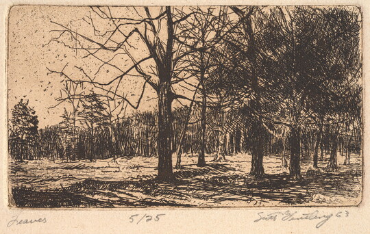 A black-and-white print on sepia-toned paper of sketch-like trees in a forest, some without leaves.