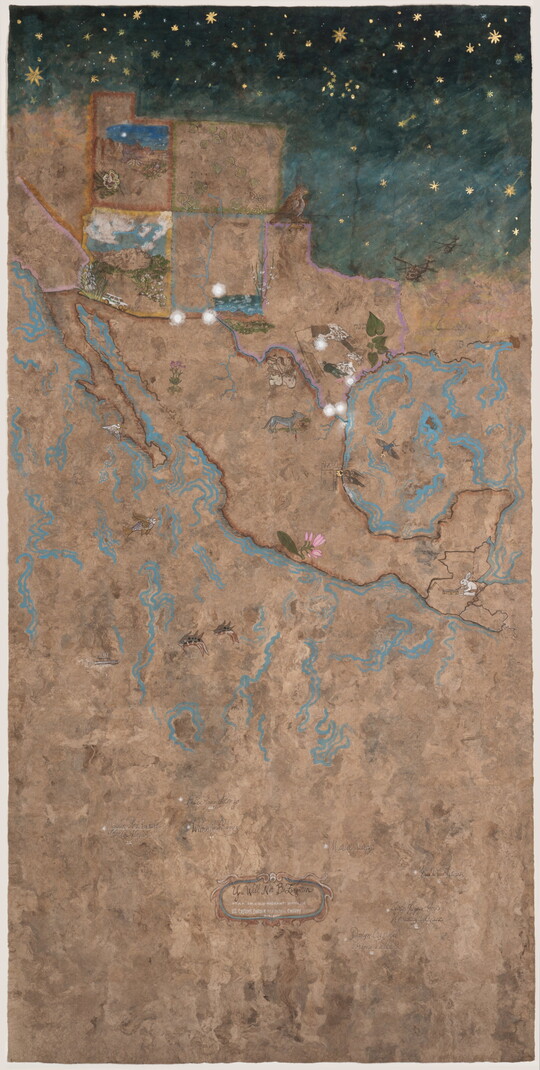 A large, paper map depicting U.S. border states and Mexico, and illustrations of various flora and fauna.