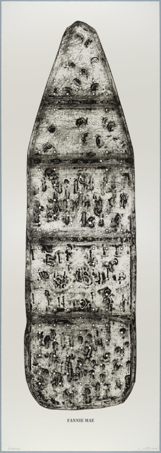 A black-and-white print of an ironing board filled with holes and dents, showing the shadows of its supporting structure, and with the word "FANNIE MAE" below the image.