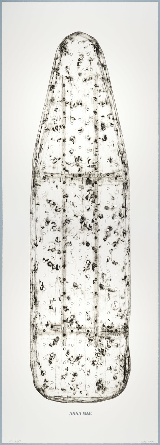 A black-and-white print of an ironing board filled with holes and dents, showing the shadows of its supporting structure, and with the words "ANNA MAE" below the image.