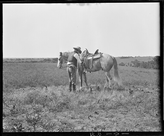 A black-and-white image of a cowboy standing in a field next to his horse adjusting the saddle.