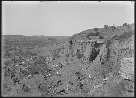 A black-and-white image of two cowboys on horseback on a cliff overlooking a field of grazing horses.