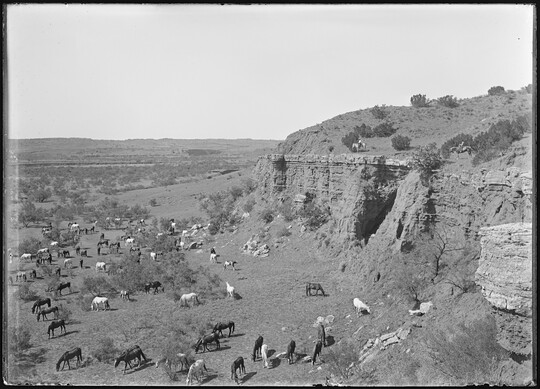A black-and-white image of two cowboys on horseback on a cliff overlooking a field of grazing horses.
