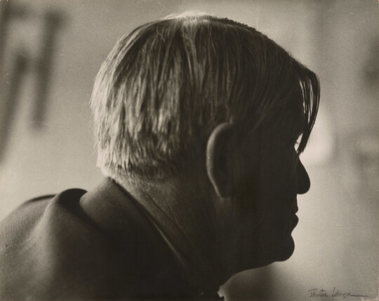 A sepia-toned photograph of a man's head in profile with longer pieces of hair hanging over his right eye.