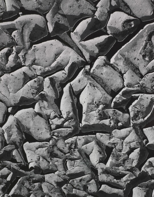 A black-and-white close-up photograph of dried mud that has a very wrinkly, textured surface.