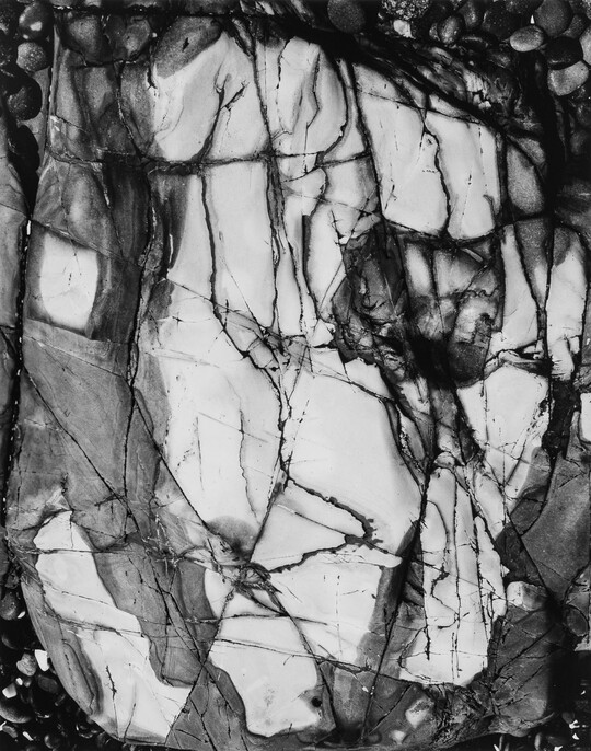 A black-and-white close-up photograph of a white rock with dark lines and cracks running through it.