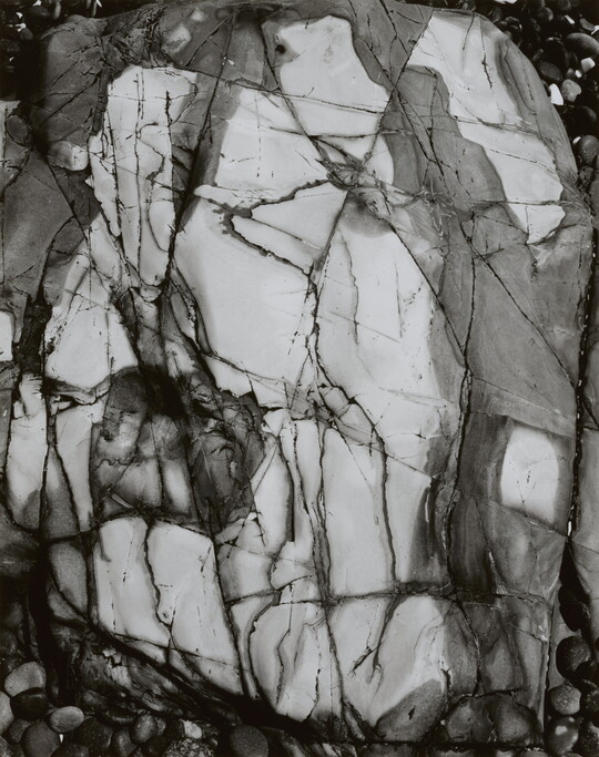 A black-and-white close-up photograph of a white rock with dark lines and cracks running through it.