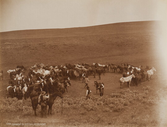 A sepia-toned photograph of a herd of unsaddled horses and several cowboys with their saddled horses.