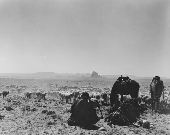 A black-and-white photograph of a man seated on the ground as two saddled horses graze with a herd of sheep on a plain with mountains in the distance.