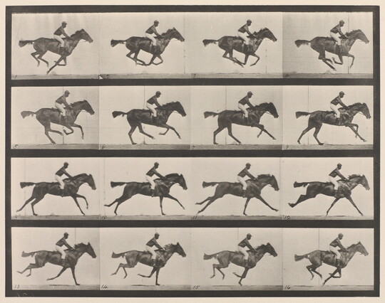 A series of black-and-white photographs of a jockey riding a running horse.