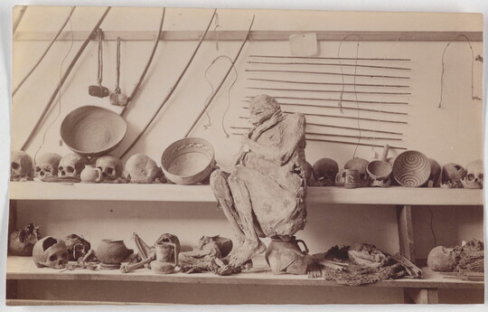 A black-and-white photograph of human skulls, bones, pottery, and a mummified person sitting on shelves.