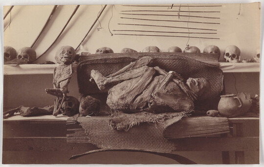 A black-and-white photograph of a small mummy and a larger one curled in fetal position laying on burlap surrounded by shelves of human skulls.