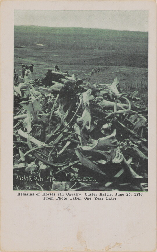 A black-and-white postcard of a pile of weathered bones in front of a barren landscape.