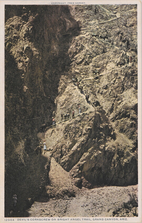 A color postcard of people and mules walking up a steep, rocky canyon trail.