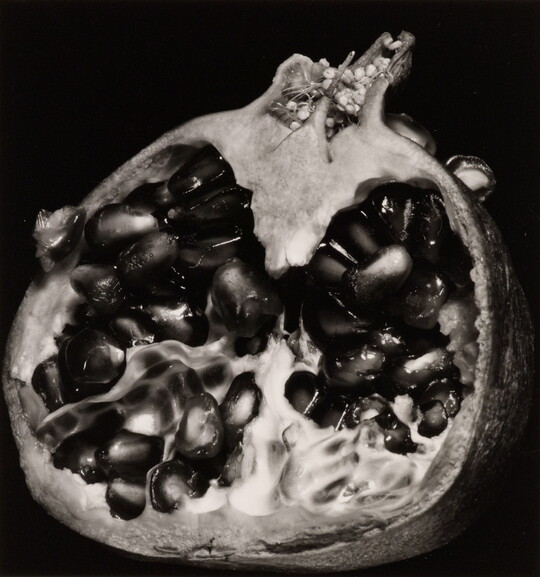 A black-and-white, close-up photograph of the inside of a pomegranate that has been cut in half.
