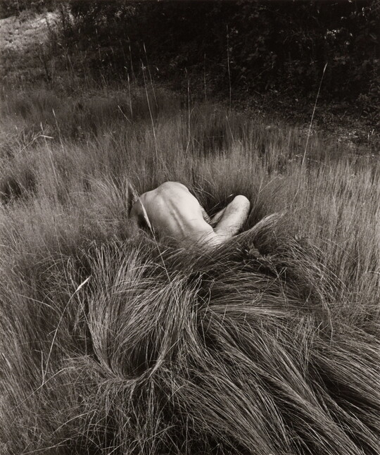 A black-and-white photograph of the back and arms of a nude White person crouched in a field of long grass.