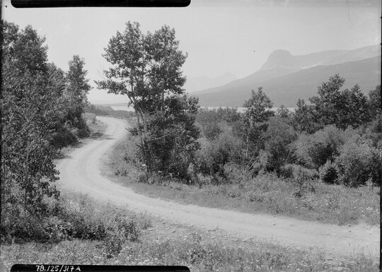 A black-and-white image of a winding dirt road surrounded by trees and brush with mountains in the distance.