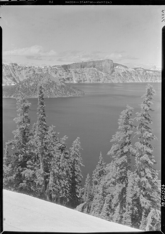 A black-and-white image of pine trees on a steep hill above a lake with mountains in the distance.