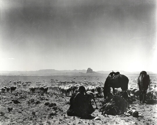 A black-and-white photograph of a man seated on the ground as two saddled horses graze with a herd of sheep on a plain with mountains in the distance.