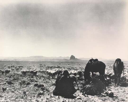 A black-and-white photograph of a man seated on the ground as two saddled horses graze with a herd of sheep on a plain with mountains in the distance.