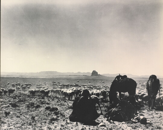 A black-and-white photograph of a man seated on the ground as two saddled horses graze with a herd of sheep on a plain with mountains in the distance.