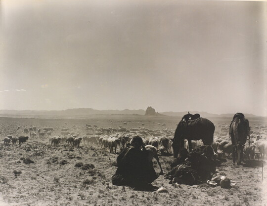 A black-and-white photograph of a man seated on the ground as two saddled horses graze with a herd of sheep on a plain with mountains in the distance.