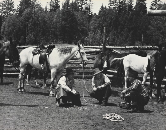A black-and-white photograph of three men wearing cowboy hats crouched in the grass with saddled and unsaddled horses in the background.