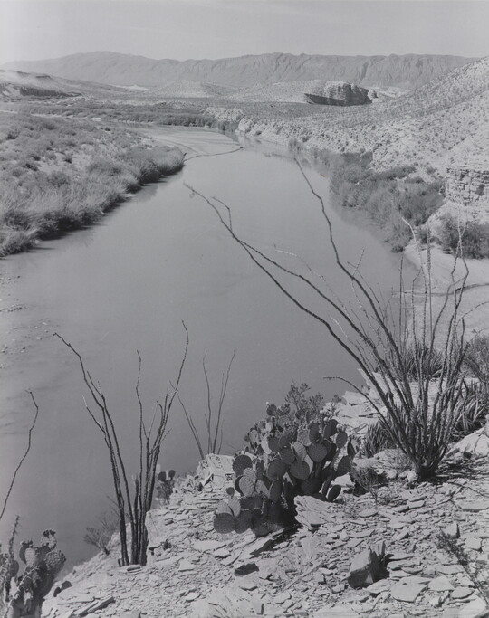A black-and-white photograph of a rocky landscape with cacti and other plants overlooking a river, mountains in the distance.