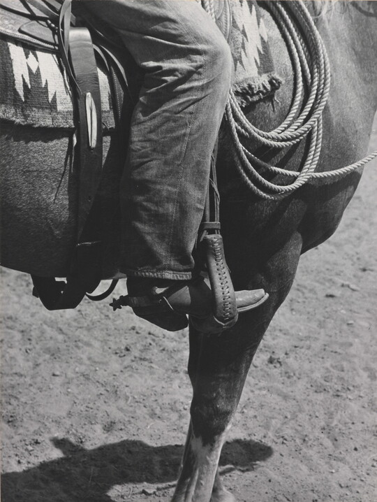 A black-and-white photograph of a person's leg in a cowboy boot, including spurs, sitting astride a horse, viewing only the horse's front quarter.