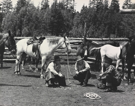 A black-and-white photograph of three men wearing cowboy hats crouched in the grass with saddled and unsaddled horses in the background.