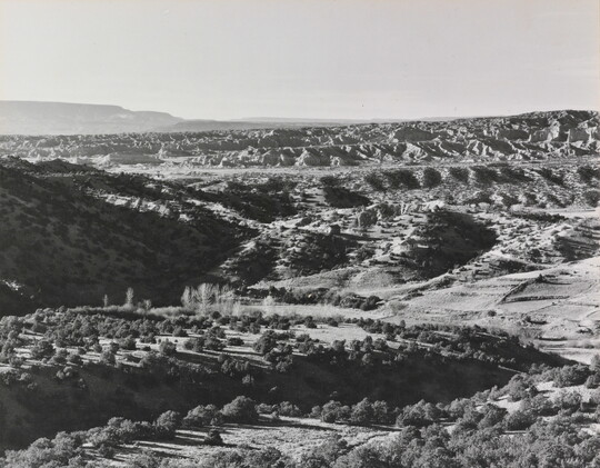 A black-and-white photograph of mountains and valleys sparsely covered with trees.