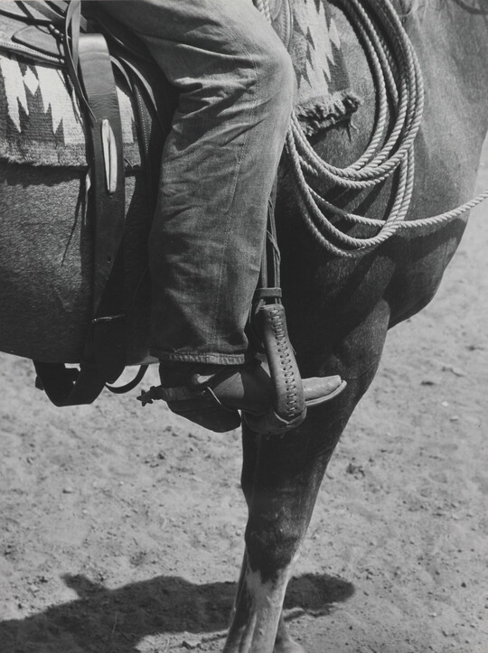 A black-and-white photograph of a person's leg in a cowboy boot, including spurs, sitting astride a horse, viewing only the horse's front quarter.