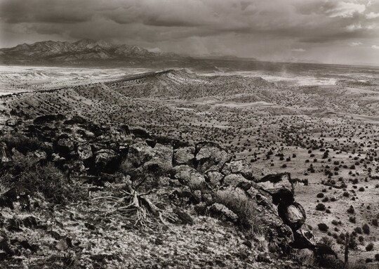 A black-and-white photograph of the top of a mesa with scrubby growth on the sides and below and mountains in the distance.