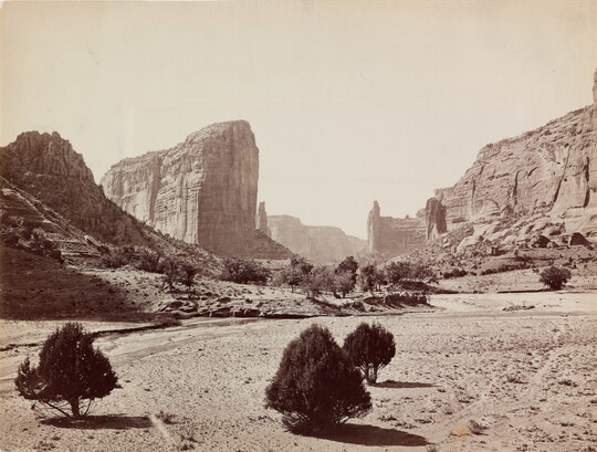 A sepia-toned photograph of a desert landscape with scrubby trees in the foreground and tall rock formations in the background.