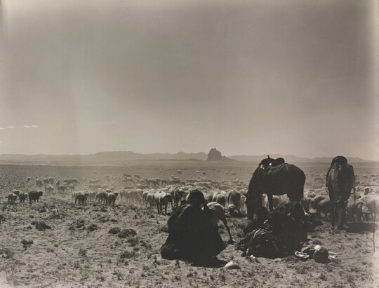 A black-and-white photograph of a man seated on the ground as two saddled horses graze with a herd of sheep on a plain with mountains in the distance.
