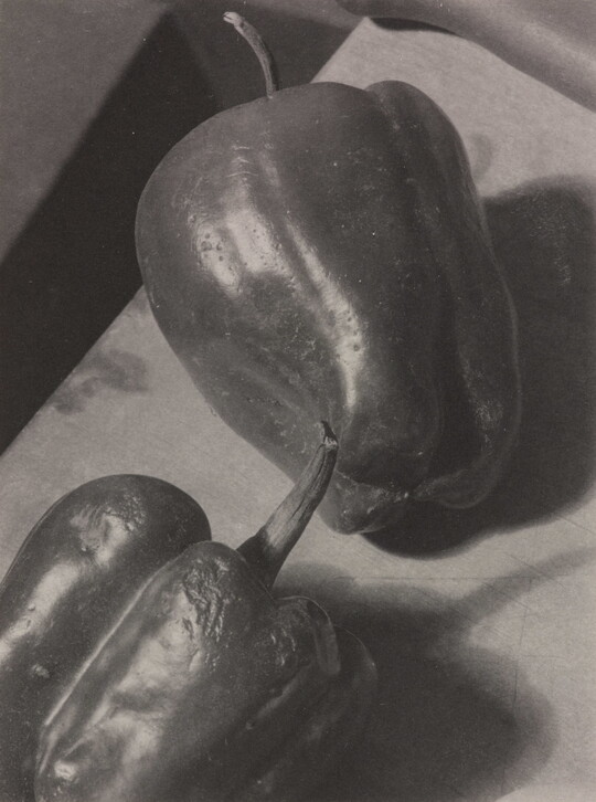 A black-and-white still life photograph of two peppers, one slightly wrinkled, laying on their sides.