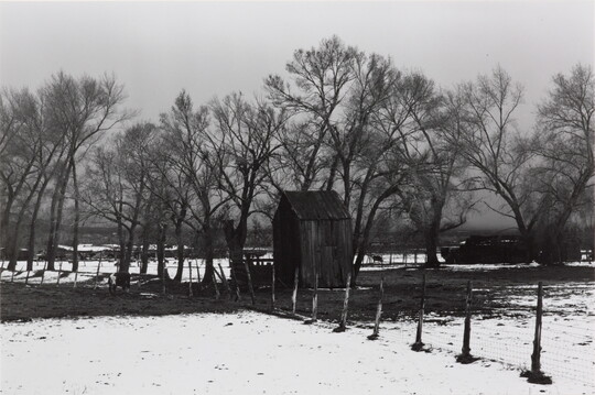 A black-and-white photograph of snowy fields, a shack, some livestock, and leafless trees behind a post and wire fence.